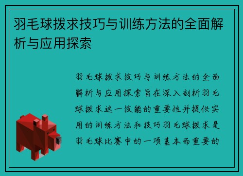 羽毛球拨求技巧与训练方法的全面解析与应用探索